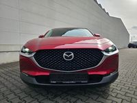 gebraucht Mazda CX-30 Selection 2WD | HUD | ACC | Navi