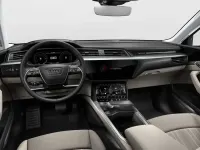 Gebraucht Audi e-tron Advanced 300 kW (408 PS) 2019 Blau SUV