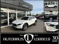 Neu Mazda CX-30 140 PS (102 kW) 2026 Weiß SUV