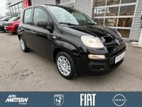 Neu Fiat Panda Icon 69 PS (50 kW) 2025 Schwarz Kleinwagen