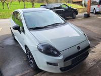 gebraucht Fiat Punto Evo 1.2 8V Pop