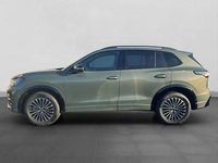 Gebraucht VW Tiguan Style 193 PS (141 kW) 2025 Cipressinogrün metallic SUV