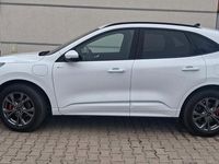 Gebraucht Ford Kuga ST-Line X 224 PS (164 kW) 2023 Weiß SUV