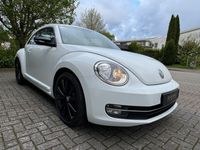 gebraucht VW Beetle Sport 2.O TSI DSG*Leder*top*HU/AU neu*