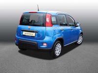 Gebraucht Fiat Panda 69 PS (50 kW) 2024 Blau Limousine