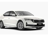 Neu Skoda Octavia Selection 116 PS (85 kW) 2026 Candy white uni Limousine