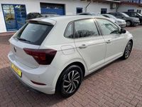 gebraucht VW Polo 1.0 TSI Life AppConnect LED ACC SHZ RFK