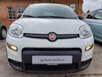Gebraucht Fiat Panda 69 PS (50 kW) 2024 Weiss Kleinwagen