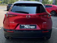 gebraucht Mazda CX-30 SKYACTIV-G 150 SELECTION DESIGN- & PREMIUM