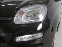 Neu Fiat Panda Icon 69 PS (50 kW) 2025 Schwarz Limousine