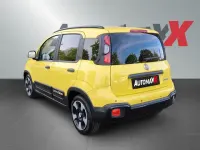 Neu Fiat Panda Cross 65 PS (47 kW) 2025 Rot Kleinwagen