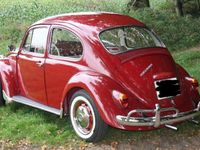 gebraucht VW Käfer 1300 Baujahr 1968 Komplett restauriert