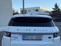 Gebraucht Land Rover Range Rover evoque 190 PS (139 kW) 2014 Weiß SUV