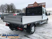 Neu Ford Transit Trend 131 PS (96 kW) 2026 Weiß