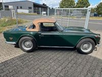 Gebraucht Triumph TR5 95 PS (69 kW) 1968 Grün Cabrio