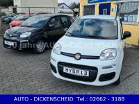 Neu Fiat Panda 69 PS (50 kW) 2025 Weiß Kleinwagen