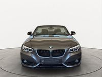 Gebraucht BMW 218 Sport Line 150 PS (110 kW) 2019 Grau Cabrio
