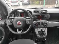 gebraucht Fiat Panda Panda1.0 GSE Hybrid City Life