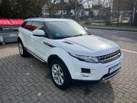 Gebraucht Land Rover Range Rover evoque Pure 190 PS (139 kW) 2012 Weiß SUV