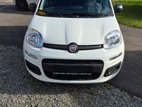 Neu Fiat Panda 69 PS (50 kW) 2025 Weiß Kleinwagen