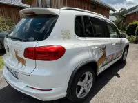Gebraucht VW Tiguan Sport 140 PS (102 kW) 2013 Weiß SUV