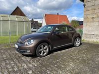 Gebraucht VW Beetle Design 160 PS (117 kW) 2014 Braun Kleinwagen