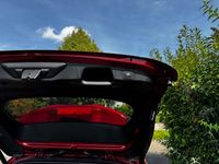 Gebraucht Ford Focus ST-Line X 150 PS (110 kW) 2020 Rot Limousine