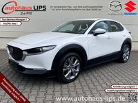 Gebraucht Mazda CX-30 Selection 122 PS (89 kW) 2021 Weiss SUV