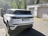 Gebraucht Land Rover Range Rover evoque S 150 PS (110 kW) 2020 Weiß SUV