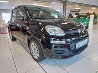 gebraucht Fiat Panda Urban Hybrid DAB PDC