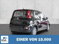 Gebraucht Fiat Panda 69 PS (50 kW) 2024 Kleinwagen