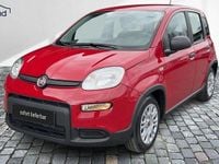 Gebraucht Fiat Panda 69 PS (50 kW) 2024 Rot Kleinwagen