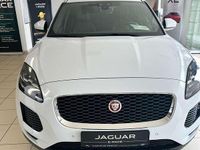 Gebraucht Jaguar E-Pace SE 179 PS (131 kW) 2018 Weiß SUV