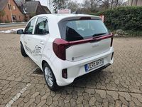 Neu Kia Picanto Vision 79 PS (58 kW) 2025 Weiß Kleinwagen