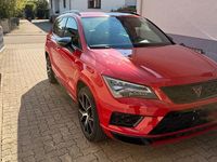 Usata Cupra Ateca 300 CV (220 kW) 2018 Rosso SUV