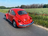 gebraucht VW Käfer 