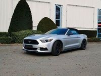 Gebraucht Ford Mustang 305 PS (224 kW) 2015 Silber Cabrio