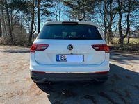 Gebraucht VW Tiguan Active 150 PS (110 kW) 2021 Weiß SUV