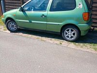 Usata VW Polo 55 CV (40 kW) 1997 Verde Utilitaria