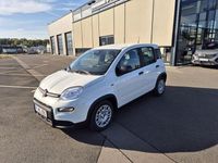 Gebraucht Fiat Panda 69 PS (50 kW) 2024 Weiß Limousine