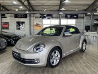 gebraucht VW Beetle Cabrio Design DSG*NAVI*PDC*FENDER