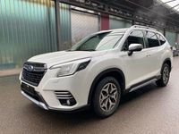 Gebraucht Subaru Forester Comfort 150 PS (110 kW) 2024 Weiß SUV