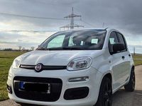 Gebraucht Fiat Panda Easy 69 PS (50 kW) 2014 Weiß Kleinwagen
