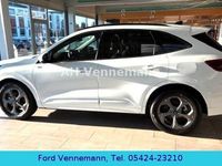 Neu Ford Kuga ST-Line 186 PS (136 kW) 2025 Weiß SUV