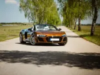 Gebraucht Audi R8 Spyder Performance 570 PS (419 kW) 2023 Gold Cabrio