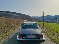 Gebraucht Jaguar XJ12 264 PS (194 kW) 1992 Grün Limousine