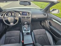 gebraucht Audi S5 Cabriolet Tüv Neu