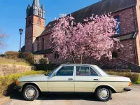 Gebraucht Mercedes E230 136 PS (100 kW) 1981 Grün Limousine