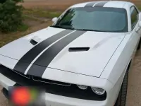 Gebraucht Dodge Challenger 377 PS (277 kW) 2015 Weiß Coupé