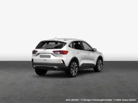 Gebraucht Ford Kuga ST-Line 150 PS (110 kW) 2023 White platinum metallic SUV